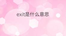 exit是什么意思 exit的中文翻译、读音、例句