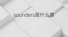 saunders是什么意思 saunders的中文翻译、读音、例句