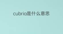 cubria是什么意思 cubria的中文翻译、读音、例句