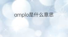 amplo是什么意思 amplo的中文翻译、读音、例句
