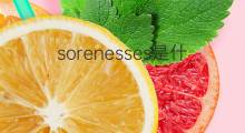 sorenesses是什么意思 sorenesses的中文翻译、读音、例句