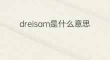 dreisam是什么意思 dreisam的中文翻译、读音、例句