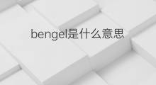 bengel是什么意思 bengel的中文翻译、读音、例句