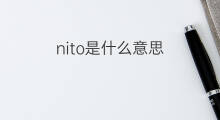 nito是什么意思 nito的中文翻译、读音、例句