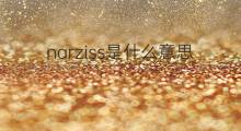 narziss是什么意思 narziss的中文翻译、读音、例句
