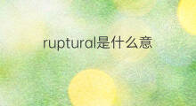 ruptural是什么意思 ruptural的中文翻译、读音、例句