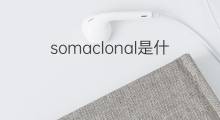 somaclonal是什么意思 somaclonal的中文翻译、读音、例句