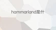 hammarland是什么意思 hammarland的中文翻译、读音、例句