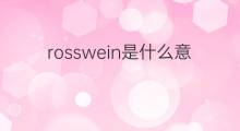 rosswein是什么意思 rosswein的中文翻译、读音、例句