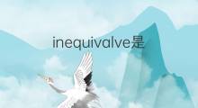 inequivalve是什么意思 inequivalve的中文翻译、读音、例句