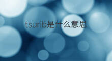 tsurib是什么意思 tsurib的中文翻译、读音、例句