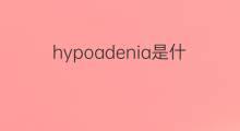 hypoadenia是什么意思 hypoadenia的中文翻译、读音、例句