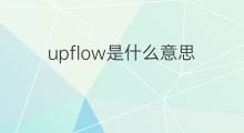upflow是什么意思 upflow的中文翻译、读音、例句