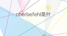 oberbefehl是什么意思 oberbefehl的中文翻译、读音、例句