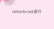 okkenbroek是什么意思 okkenbroek的中文翻译、读音、例句