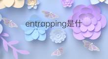 entrapping是什么意思 entrapping的中文翻译、读音、例句