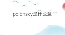 polonsky是什么意思 polonsky的中文翻译、读音、例句