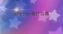 effector是什么意思 effector的中文翻译、读音、例句