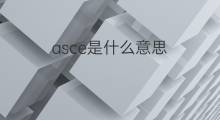 asce是什么意思 asce的中文翻译、读音、例句