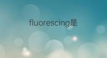 fluorescing是什么意思 fluorescing的中文翻译、读音、例句