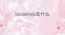 laosensis是什么意思 laosensis的中文翻译、读音、例句