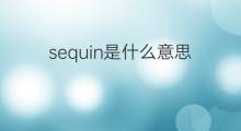 sequin是什么意思 sequin的中文翻译、读音、例句