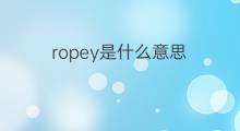 ropey是什么意思 ropey的中文翻译、读音、例句