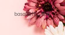 basal是什么意思 basal的中文翻译、读音、例句