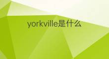 yorkville是什么意思 yorkville的中文翻译、读音、例句