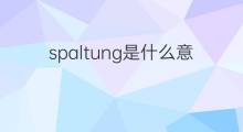 spaltung是什么意思 spaltung的中文翻译、读音、例句