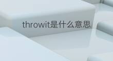 throwit是什么意思 throwit的中文翻译、读音、例句