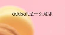 addsalt是什么意思 addsalt的中文翻译、读音、例句