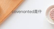 covenanted是什么意思 covenanted的中文翻译、读音、例句