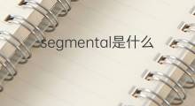 segmental是什么意思 segmental的中文翻译、读音、例句