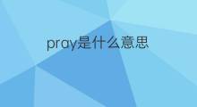 pray是什么意思 pray的中文翻译、读音、例句