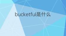 bucketful是什么意思 bucketful的中文翻译、读音、例句