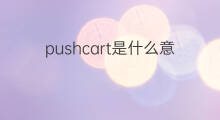 pushcart是什么意思 pushcart的中文翻译、读音、例句