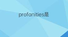 profanities是什么意思 profanities的中文翻译、读音、例句