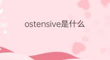 ostensive是什么意思 ostensive的中文翻译、读音、例句