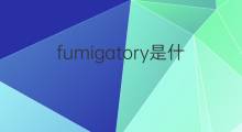 fumigatory是什么意思 fumigatory的中文翻译、读音、例句