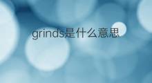 grinds是什么意思 grinds的中文翻译、读音、例句