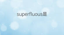 superfluous是什么意思 superfluous的中文翻译、读音、例句