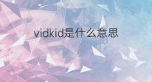 vidkid是什么意思 vidkid的中文翻译、读音、例句