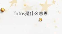 firtos是什么意思 firtos的中文翻译、读音、例句