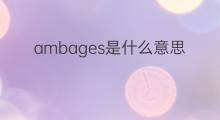 ambages是什么意思 ambages的中文翻译、读音、例句