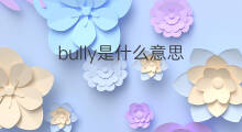bully是什么意思 bully的中文翻译、读音、例句