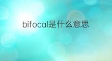 bifocal是什么意思 bifocal的中文翻译、读音、例句