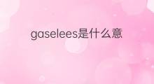 gaselees是什么意思 gaselees的中文翻译、读音、例句