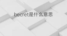becret是什么意思 becret的中文翻译、读音、例句