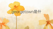 georgetown是什么意思 georgetown的中文翻译、读音、例句